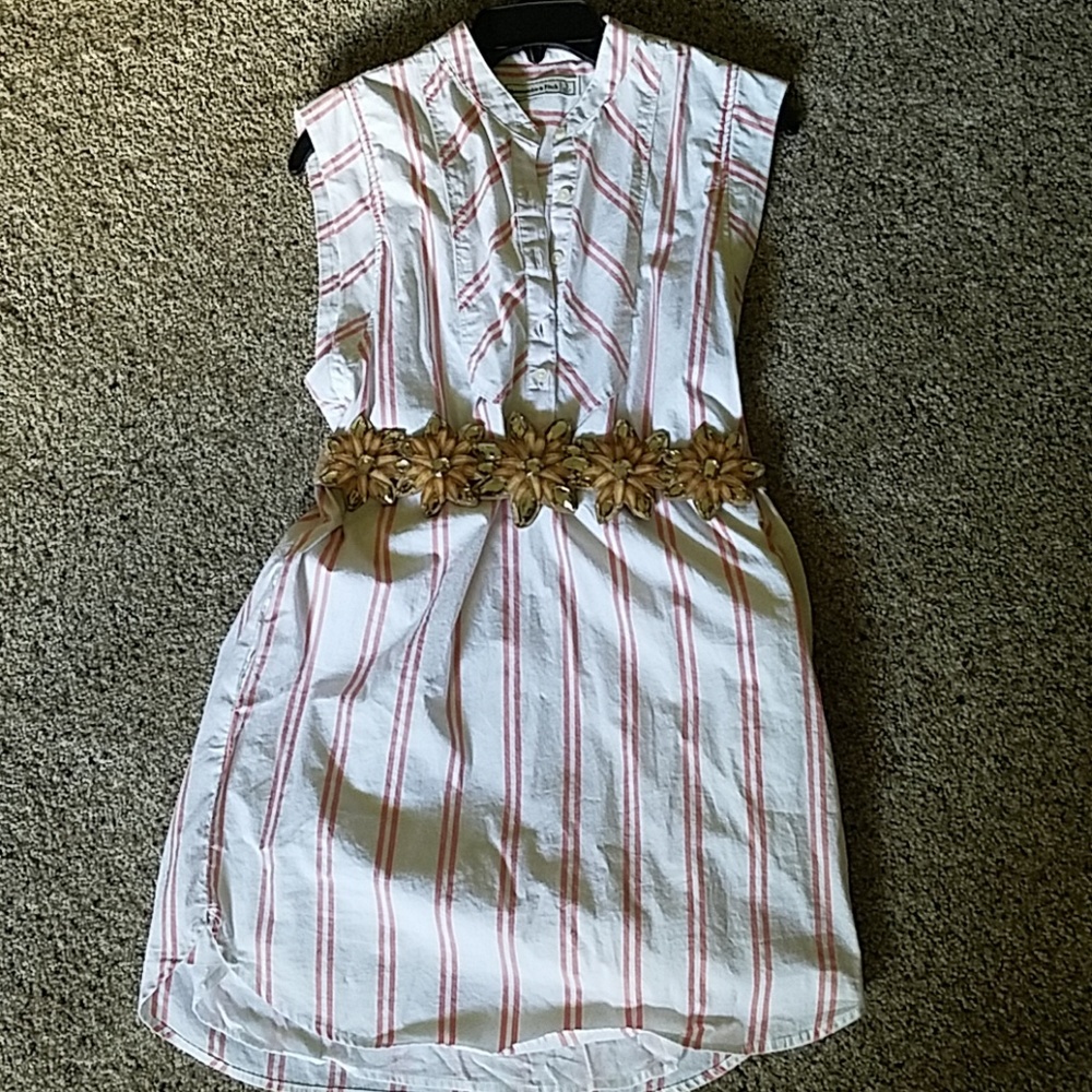 Abercrombie pink white stripe shirt shift dress S